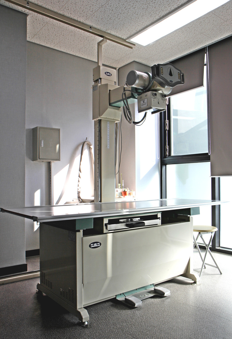 x-ray